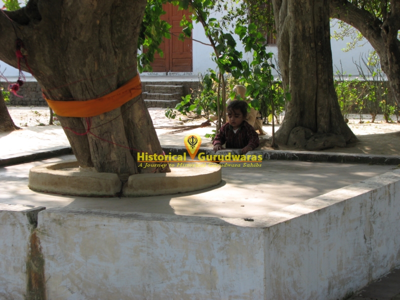 Gurudwara Shri Killa Sahib Patshahi Chevin — view 7